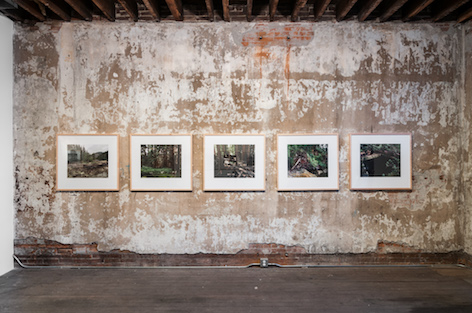 Installation view, "Nutka" photograph series, 1996